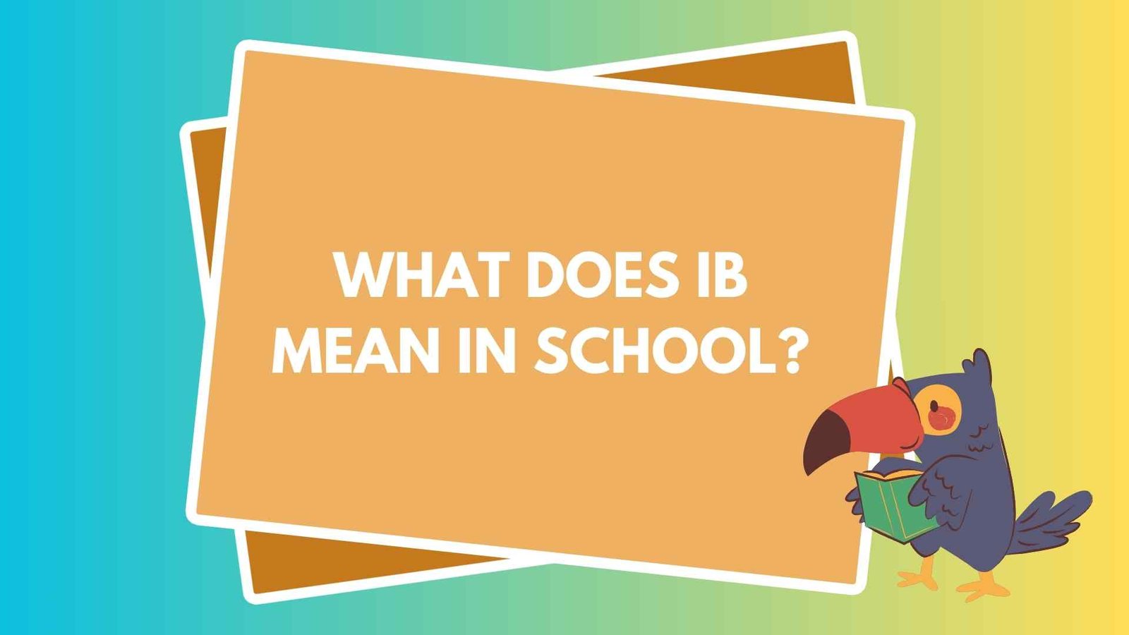 What Does IB Mean in School? The Simple Explanation Students Wish They Knew Earlier in 2026