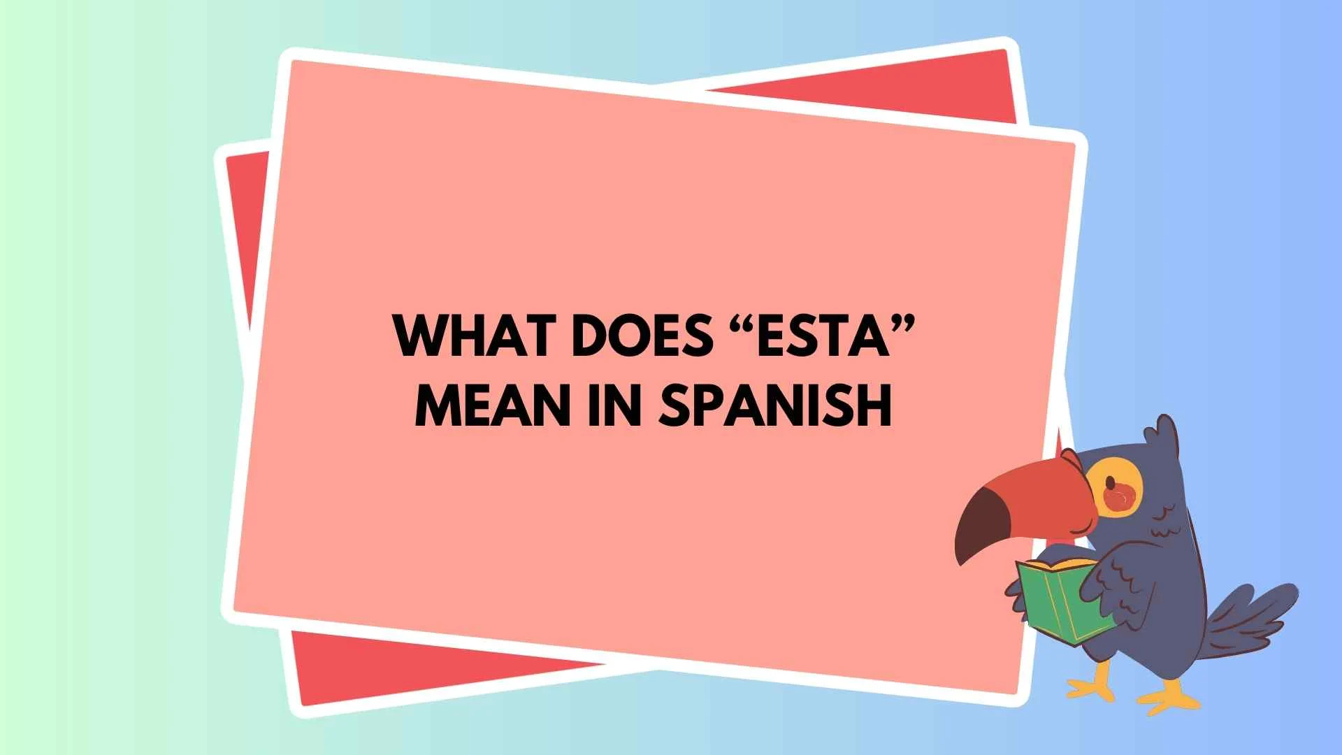 What Does “Esta” Mean in Spanish? The Simple Meaning Most People Get Wrong in 2026