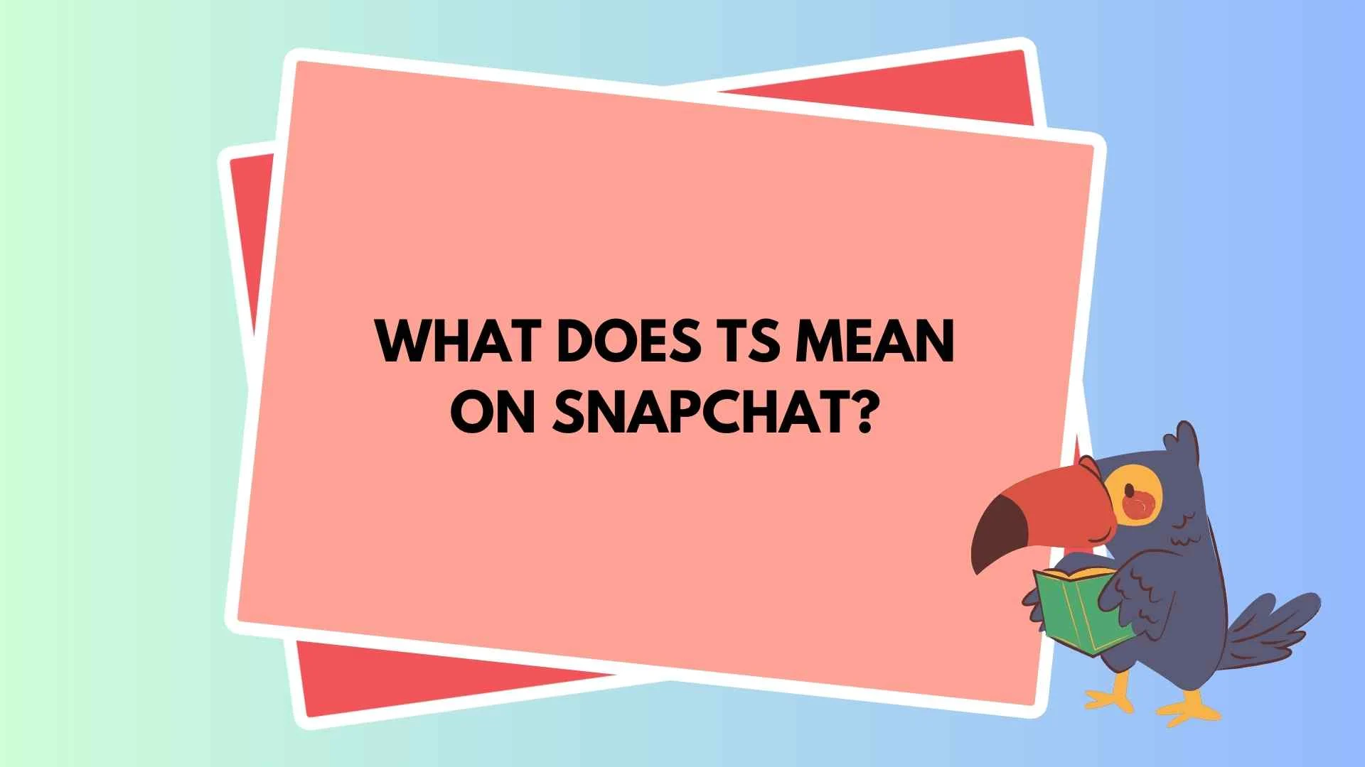 What Does TS Mean on Snapchat? The Real Meaning Gen Z Uses Every Day in 2026