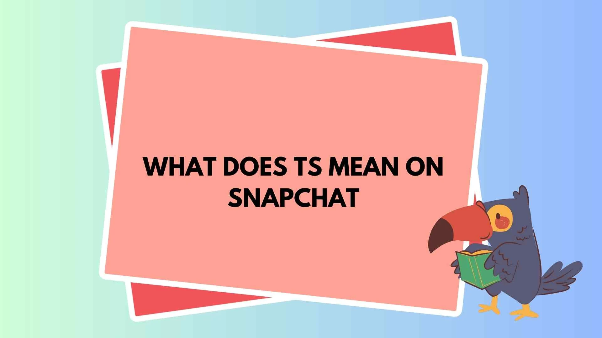 What Does TS Mean on Snapchat