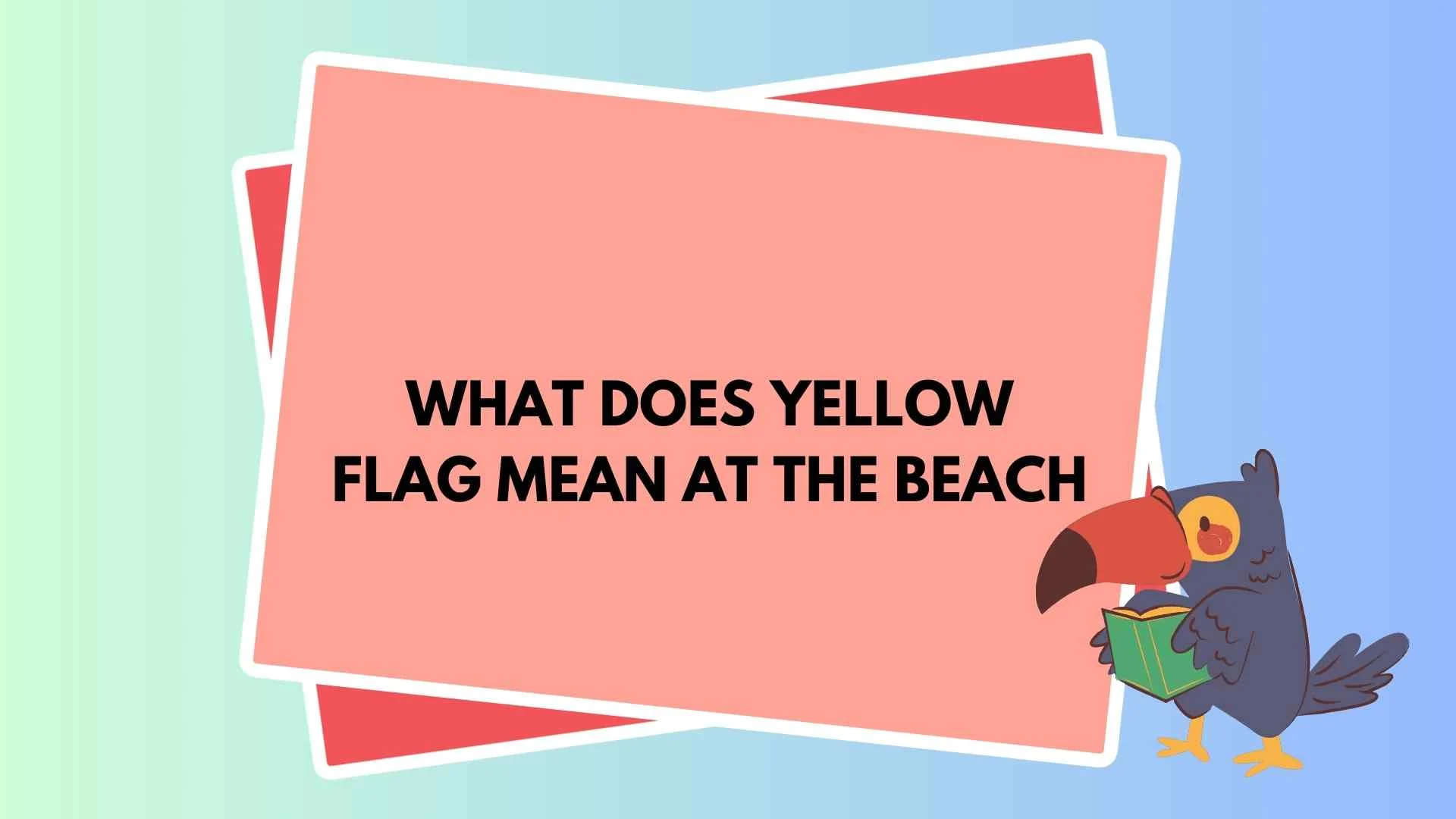 What Does Yellow Flag Mean at the Beach