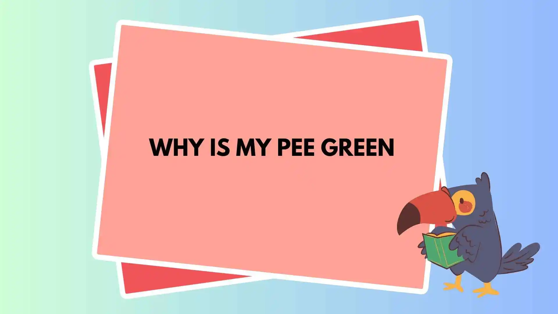 Why Is My Pee Green